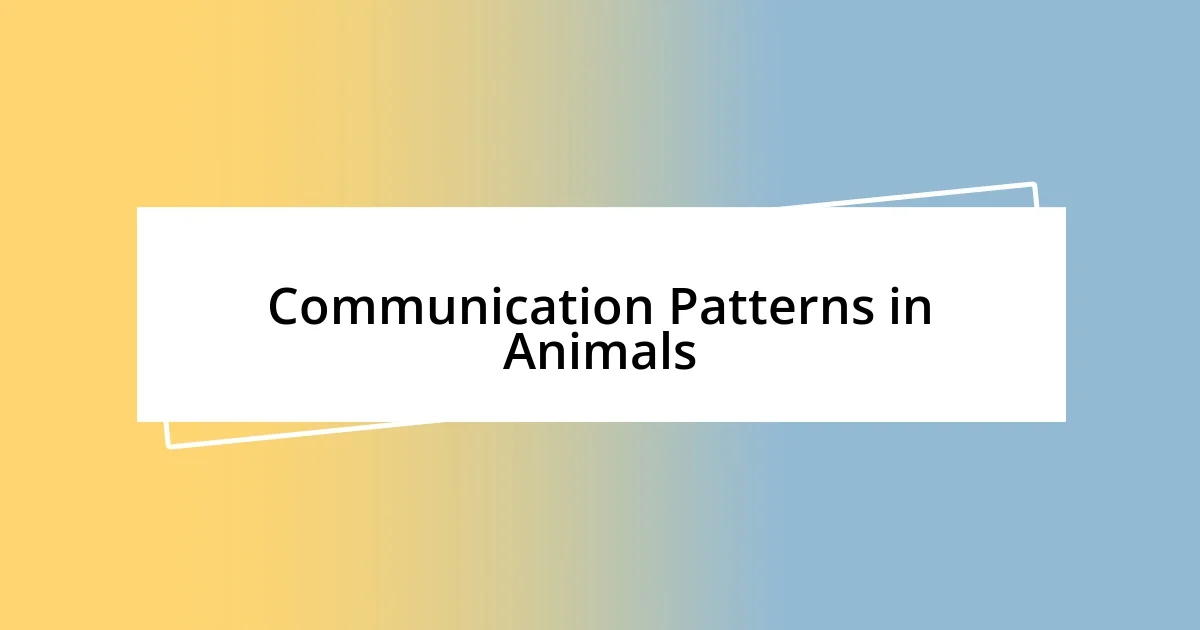 Communication Patterns in Animals