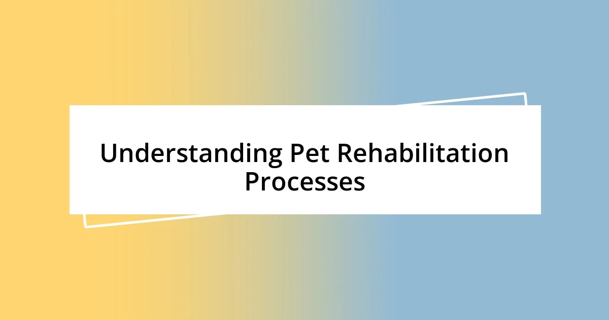 Understanding Pet Rehabilitation Processes