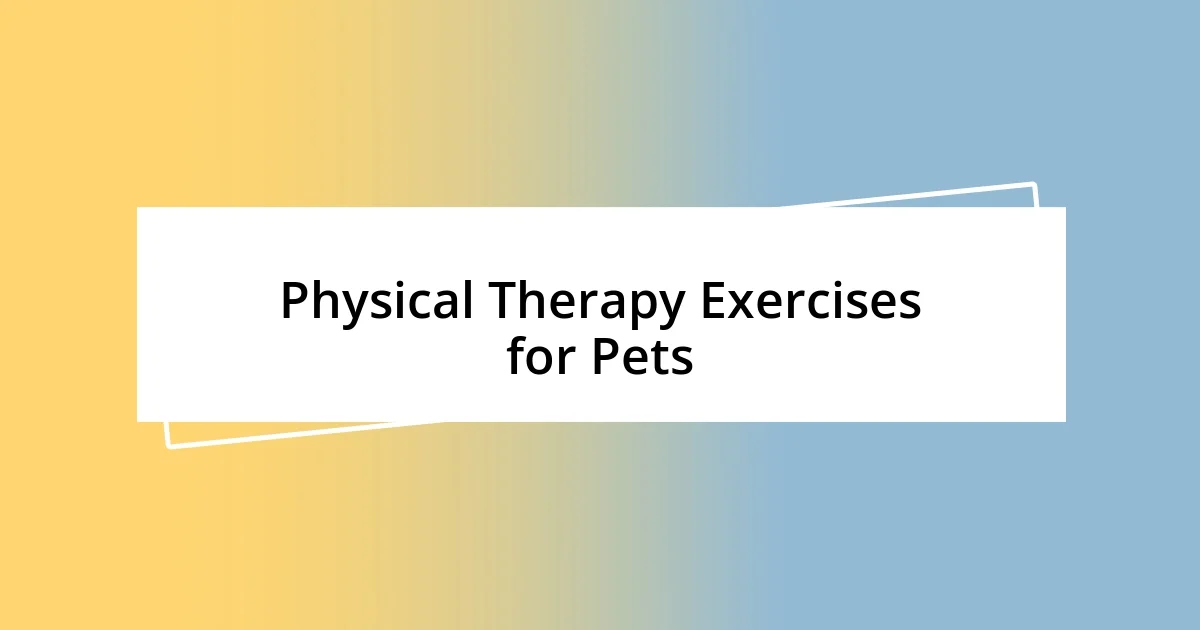 Physical Therapy Exercises for Pets