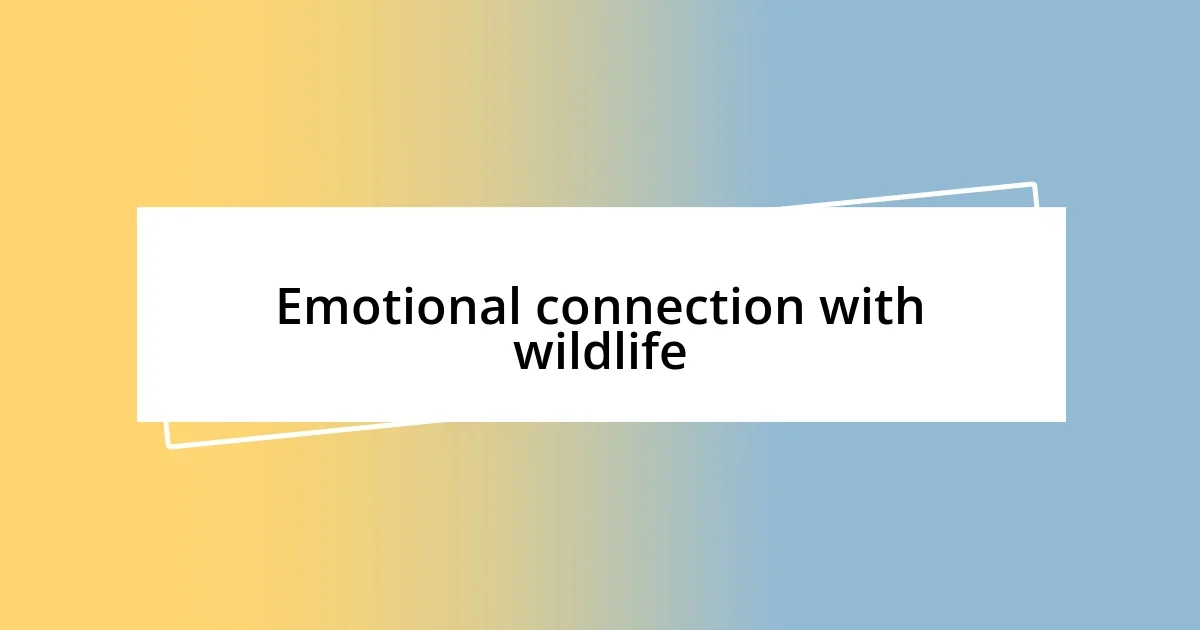 Emotional connection with wildlife