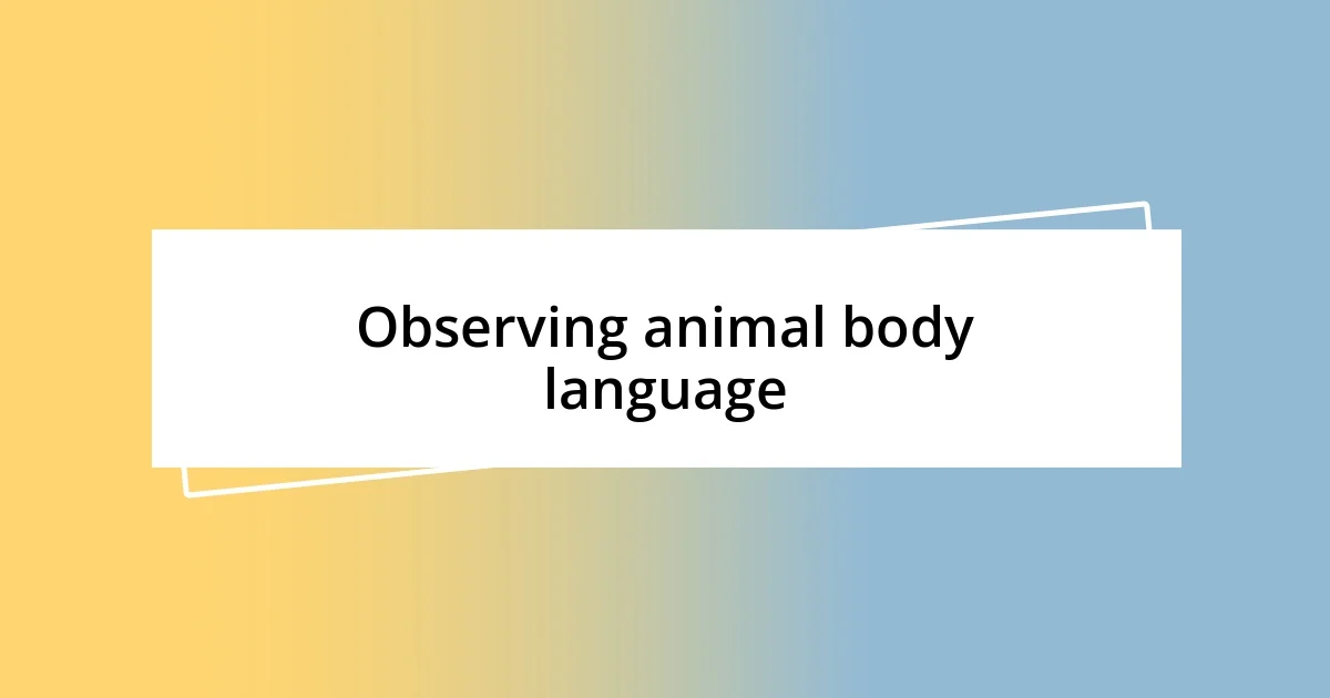 Observing animal body language