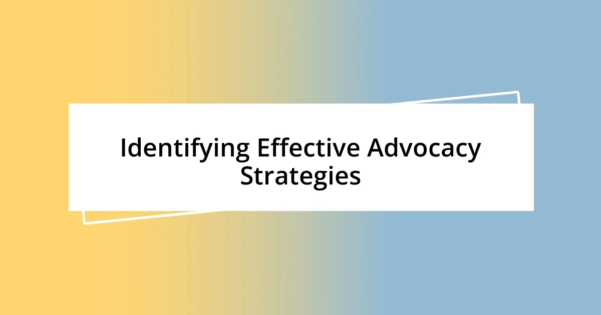 Identifying Effective Advocacy Strategies